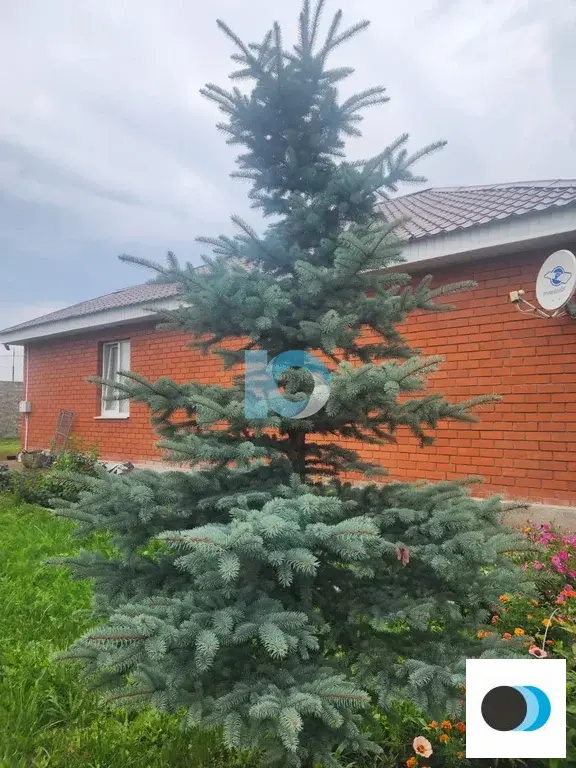 Продажа дома, Федоровка, Рассветная улица - Фото 19
