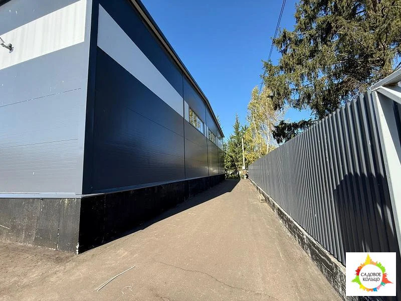 Чехов - Фото 8