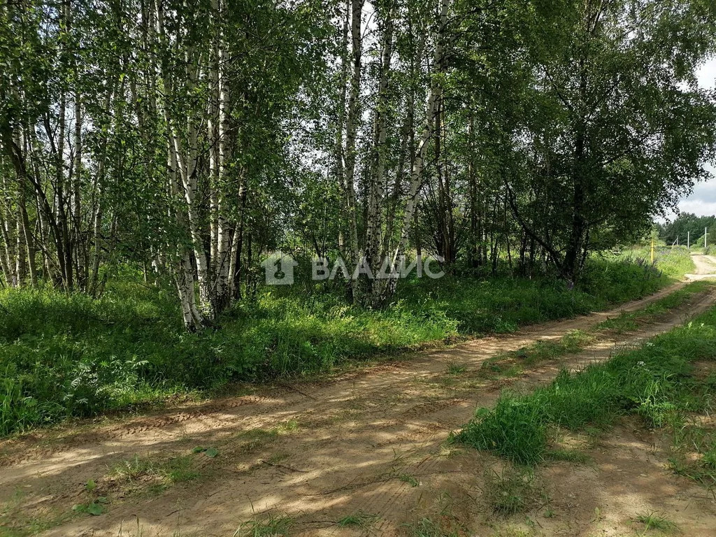 городской округ Владимир, Владимир, Октябрьский район, Селецкая улица, ... - Фото 10