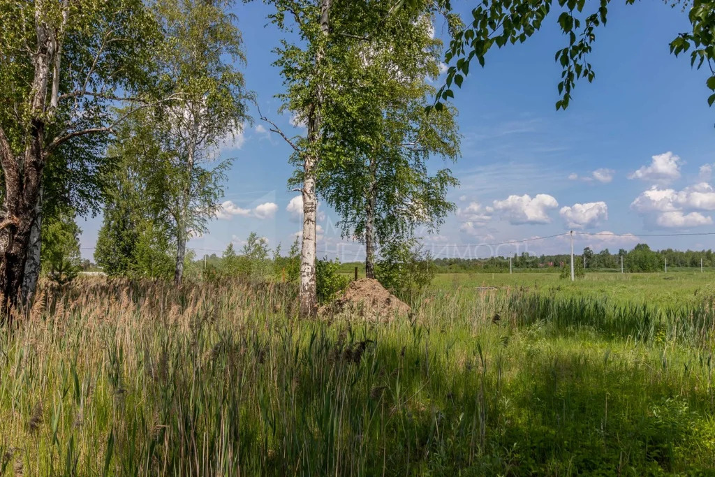 Купить Участок В Тюменской Области Недорого