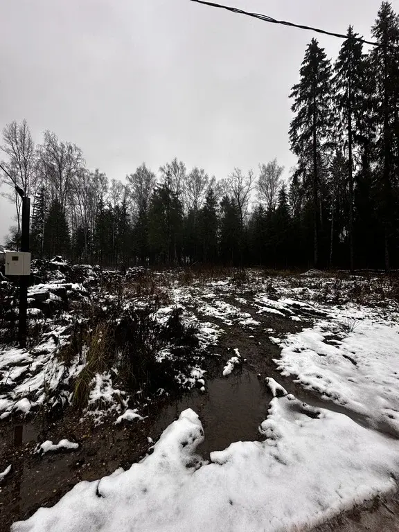 Земельный участок 15 соток в Московская обл., пос. Некрасовский - Фото 3