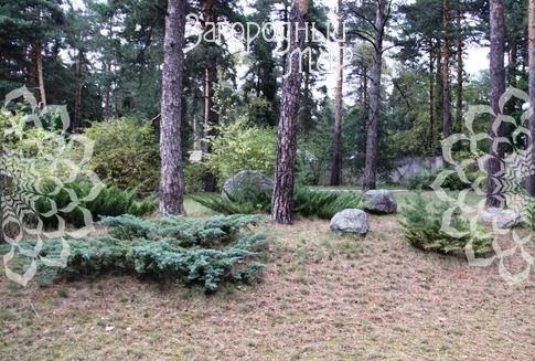 Продам дом, Новорязанское шоссе, 12 км от МКАД - Фото 3