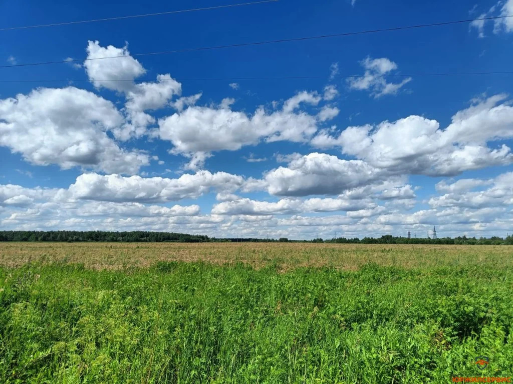 Продажа участка, Домодедово, Домодедово г. о., Московская обл - Фото 5