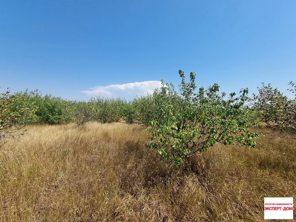 Продажа участка, Ломакин, Неклиновский район, ул. Новая - Фото 3