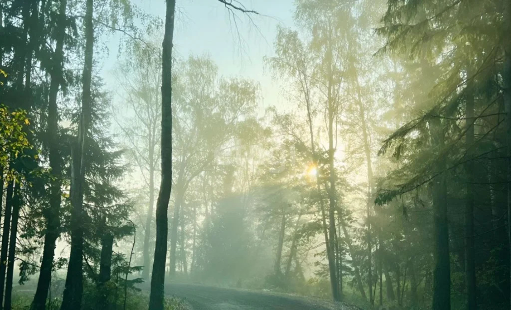 Продажа участка, Нефедьево, Красногорский район - Фото 2