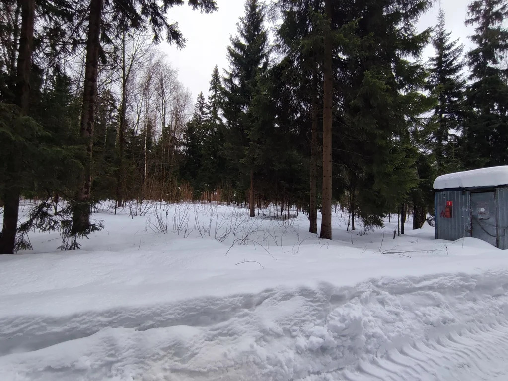 Продажа участка, НИИ Радио, Одинцовский район, Тыльная улица - Фото 4