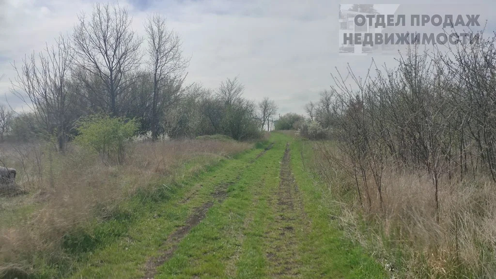 Земля в мкр "Озерки" - Фото 3