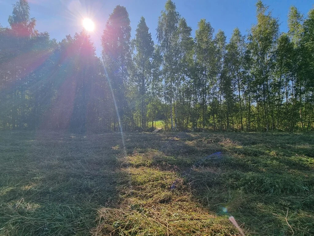 Продажа участка, Большие Пороги, Всеволожский район - Фото 13