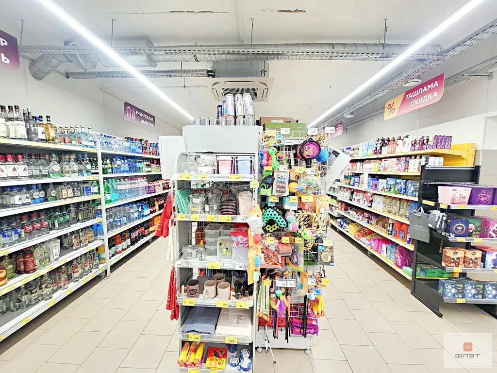 Продажа ПСН, Большие Ключи, Зеленодольский район, ул. Волостнова - Фото 12