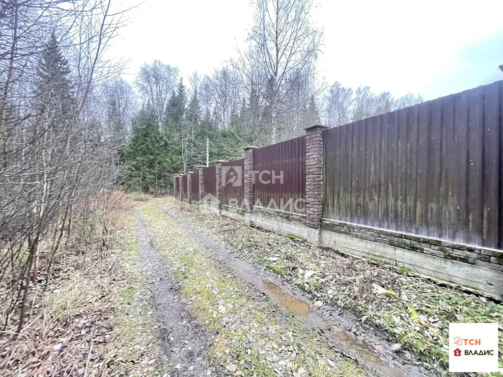 городской округ Щёлково, деревня Малые Жеребцы, микрорайон Лесная ... - Фото 2