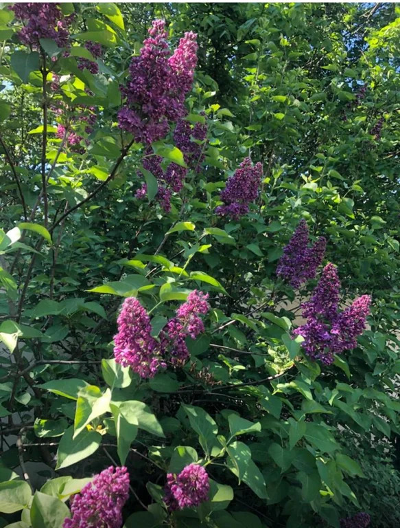 Дизайнерский Таунхаус 290 м2 на участке 6 сот. - Фото 4