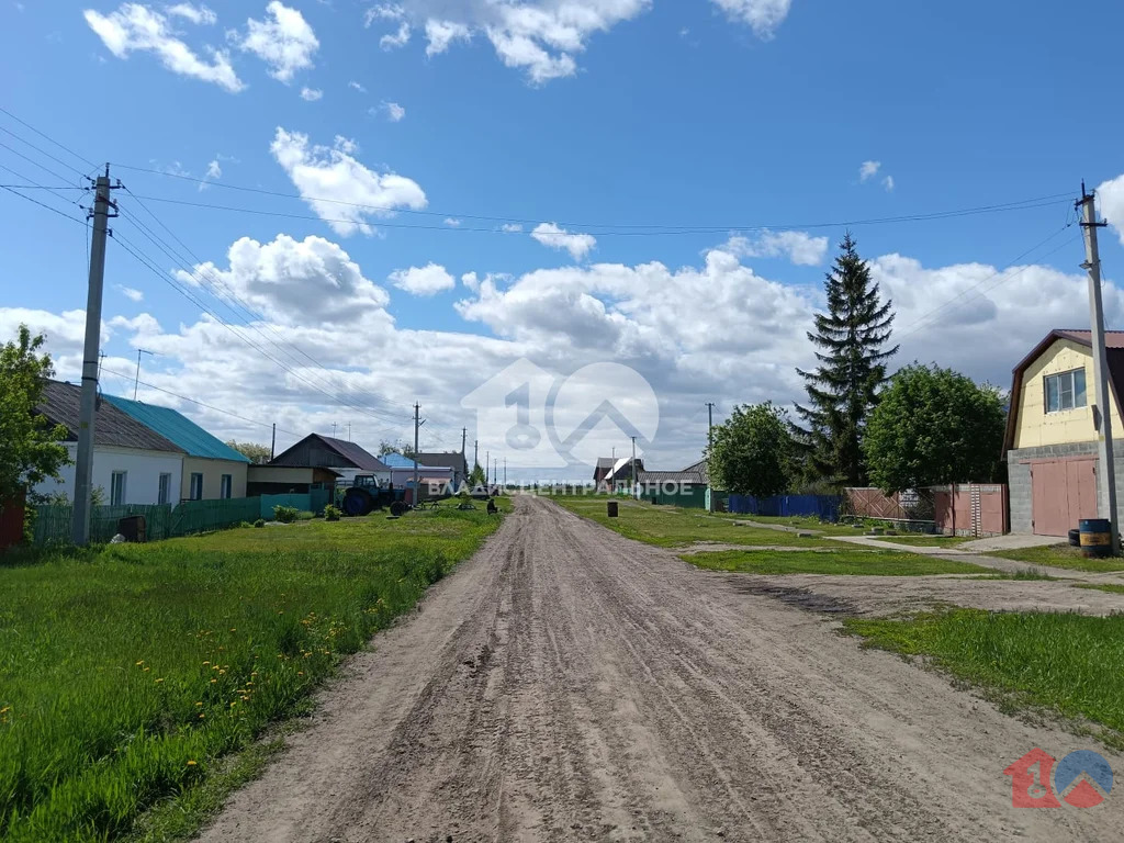 Коченёвский муниципальный район, село Чистополье, Центральная улица, ... - Фото 18