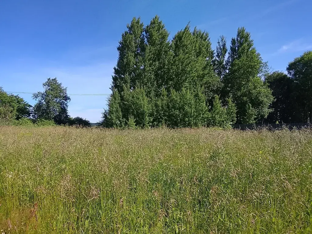 Продается участок 8 сот. КП Мурова Ленинградская область сад-во СНТ - Фото 4