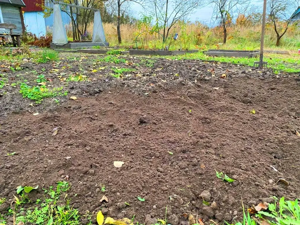 Участок на улице Механизаторов - Фото 8