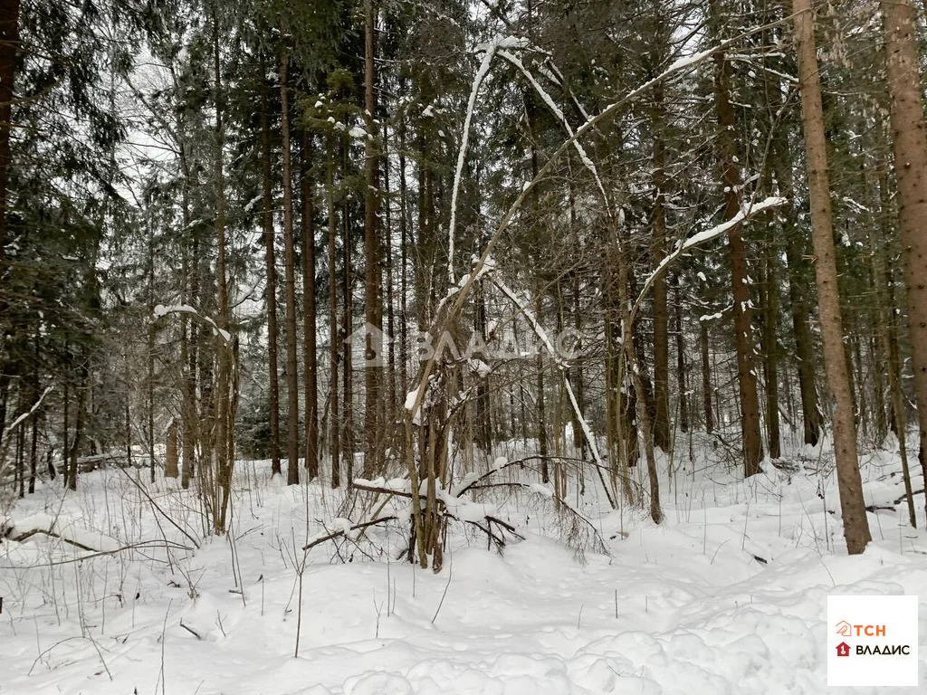 Продажа участка, Сазонки, Дмитровский район - Фото 3