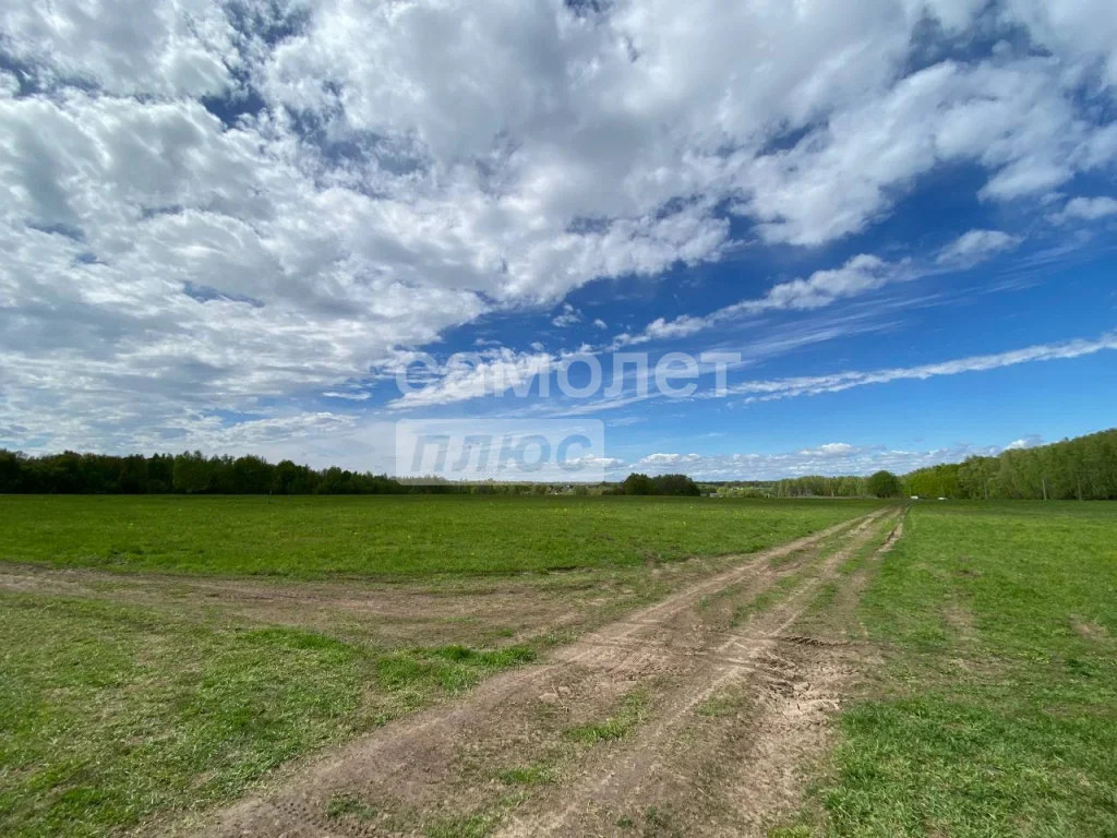 Продажа участка, Струково, Ленинский район - Фото 3