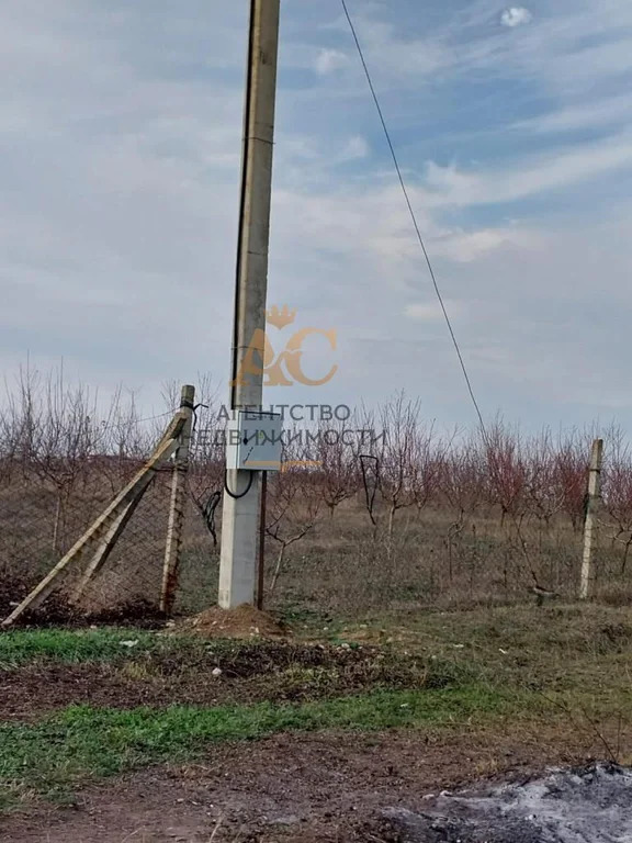 ИЖС 50 сот. - Фото 7