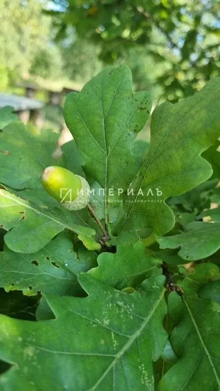 Продаётся участок на берегу реки истья, кп Истьинская Ривьера - Фото 0