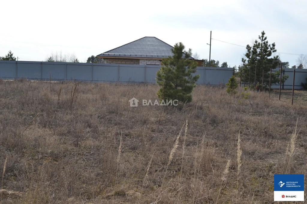 Продажа участка, Дубровичи, Рязанский район, Березовая улица - Фото 6