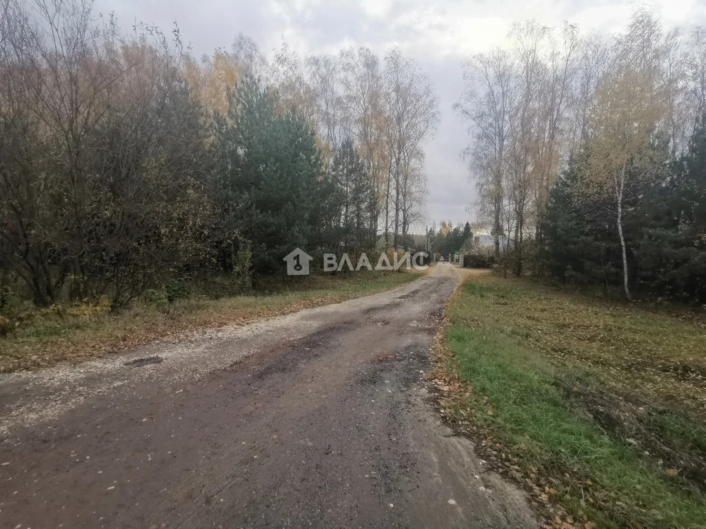 Суздальский район, село Новоалександрово,  земля на продажу - Фото 9