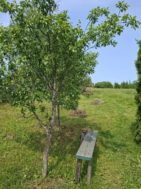 Продается дом на уч. в дерене Щелканово - Фото 7