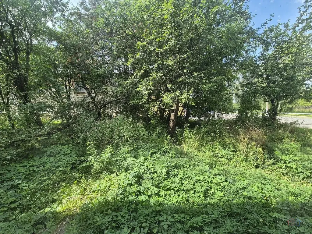 2-к. квартира, 44,6 м2, 1/2 эт. - Фото 19