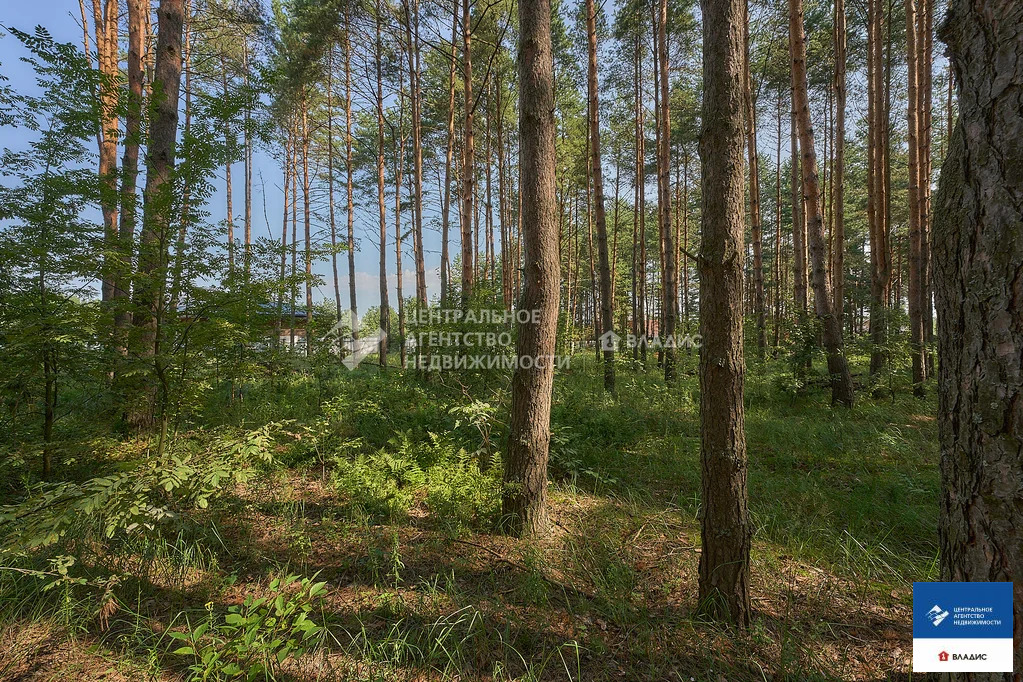 Продажа участка, Алеканово, Рязанский район - Фото 2