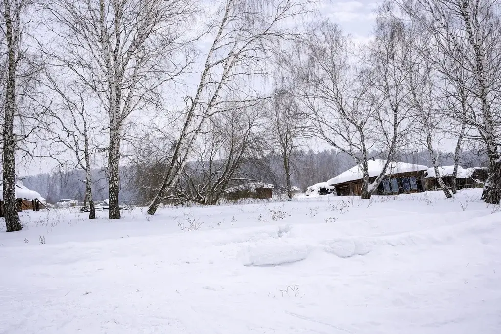 Дом по ул. Тургенева - Фото 8