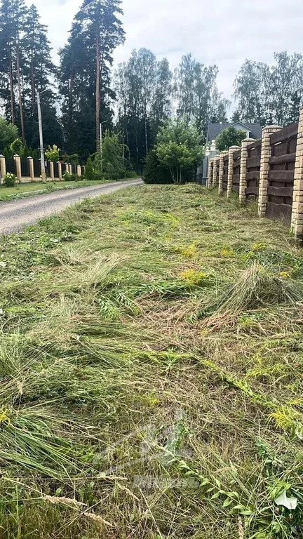 Продажа участка, Новая Купавна, Богородский г. о. - Фото 10