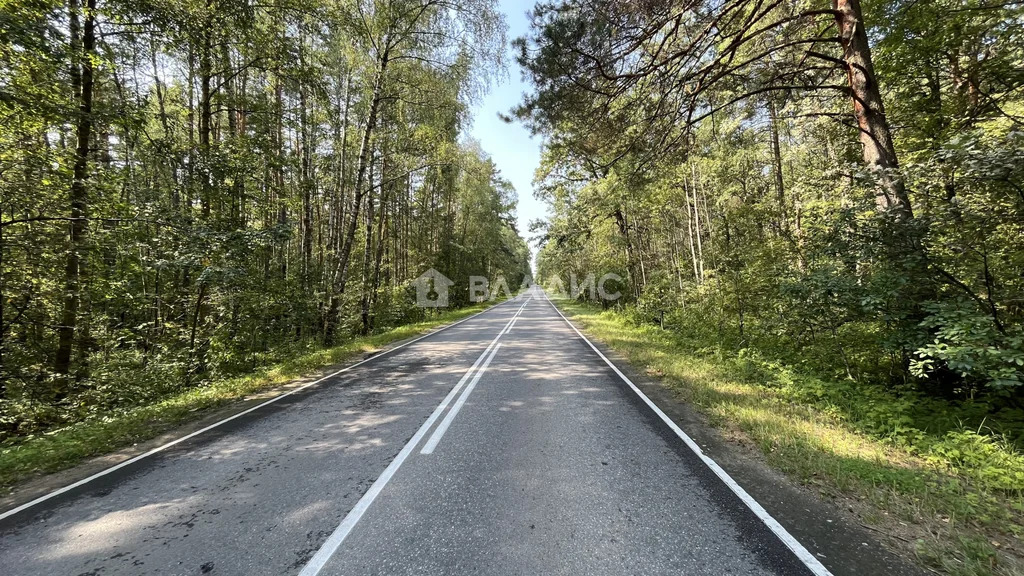 городской округ Серпухов, СНТ Ланьшино,  земля на продажу - Фото 17