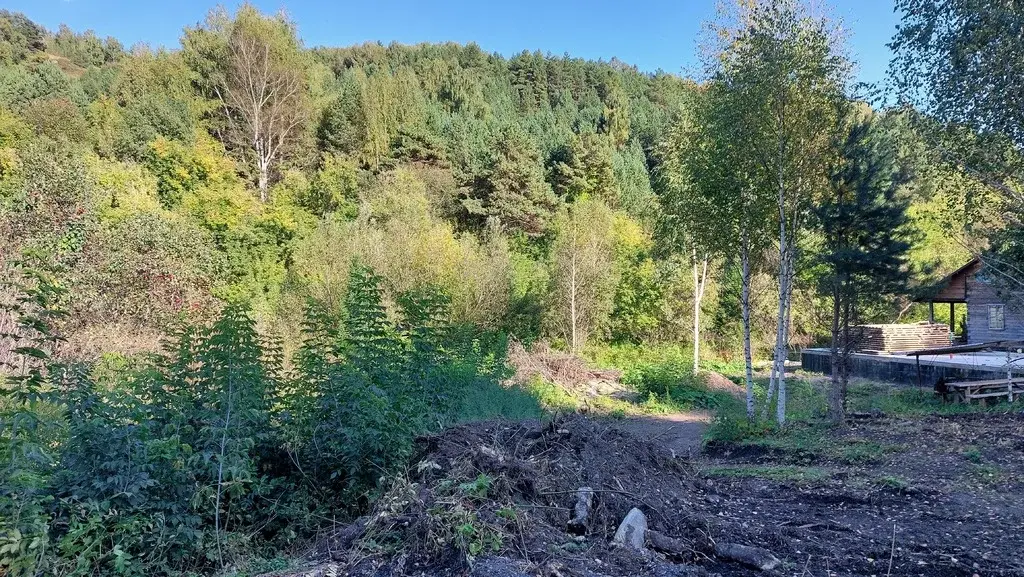 Живописный участок в Белокурихе от собственника! - Фото 11