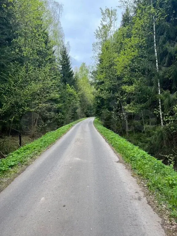 Участок 12 сот. (ИЖС) - Фото 4