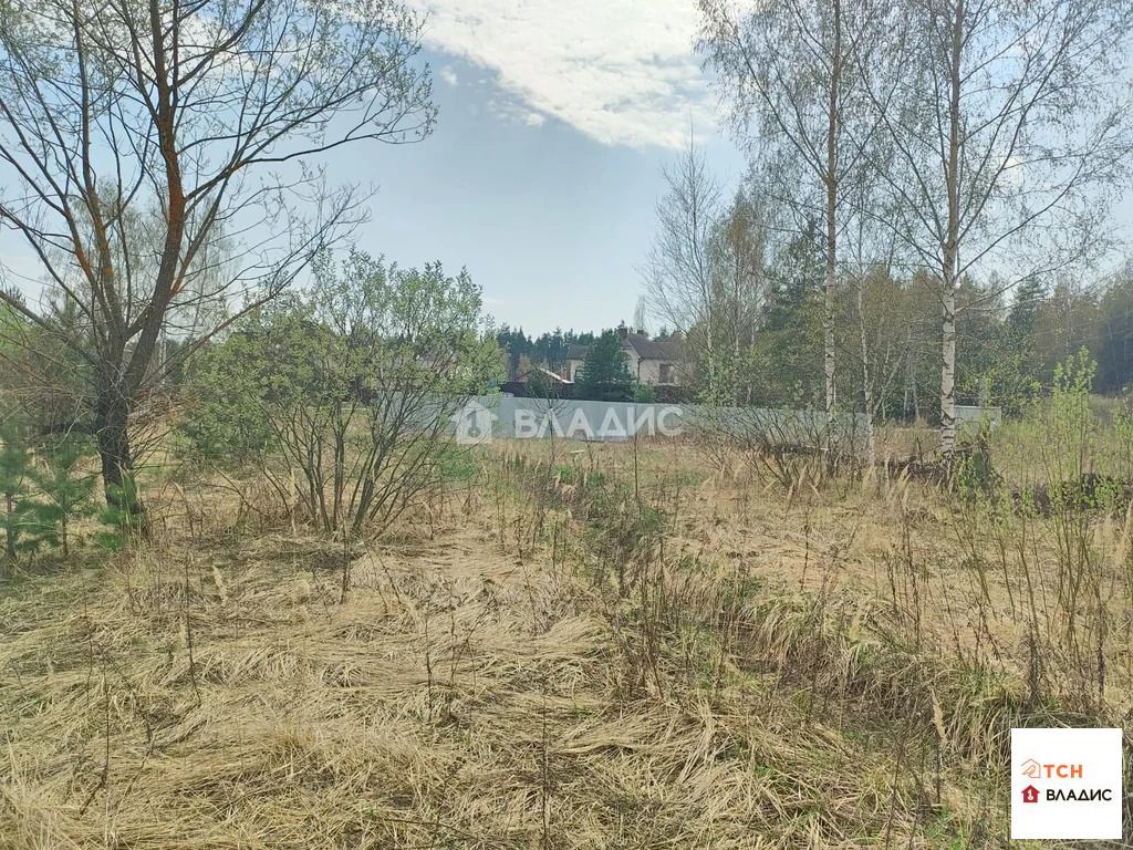Продажа участка, Ногинск, Богородский г. о., Ново-Богородская улица - Фото 11