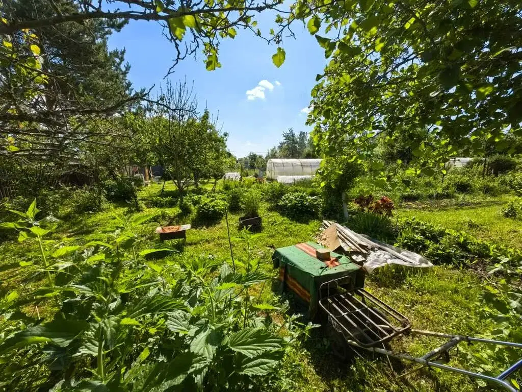 Ухоженная дача в СНТ Лесной, 4 км от г. Александров - Фото 13