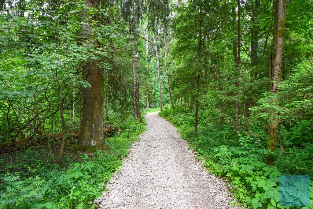 142 кв.м. в лесу, кп Гончарная слобода - Фото 13