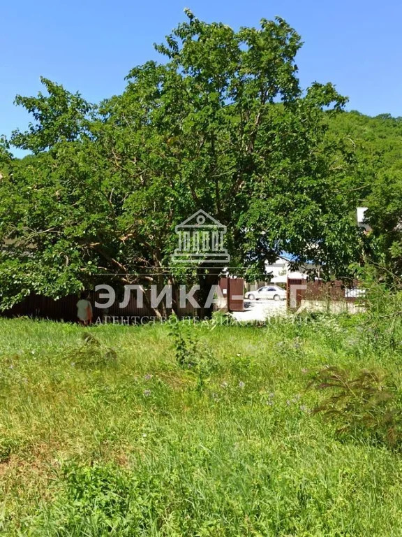 Продажа участка, Пляхо, Туапсинский район, Курортная ул. - Фото 13