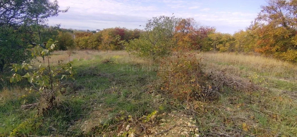 Продажа участка, Севастополь, территория ЗАО имени Софьи Перовской - Фото 5