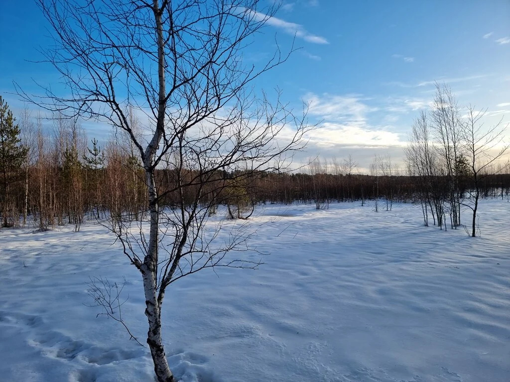 Продажа участка, Большое Поле, Выборгский район - Фото 7