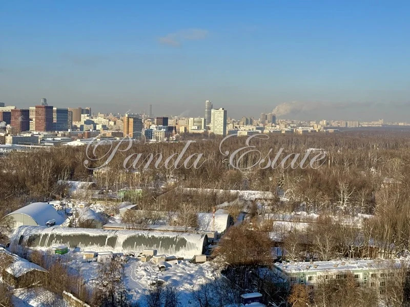 Панорамные виды на парк Сокольники (ном. объекта: 9798) - Фото 8