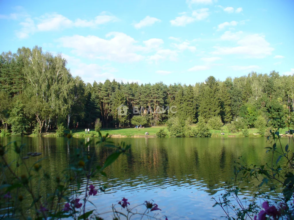 городской округ Балашиха, Балашиха, Школьная улица, д.7к1, 1-комнатная ... - Фото 28