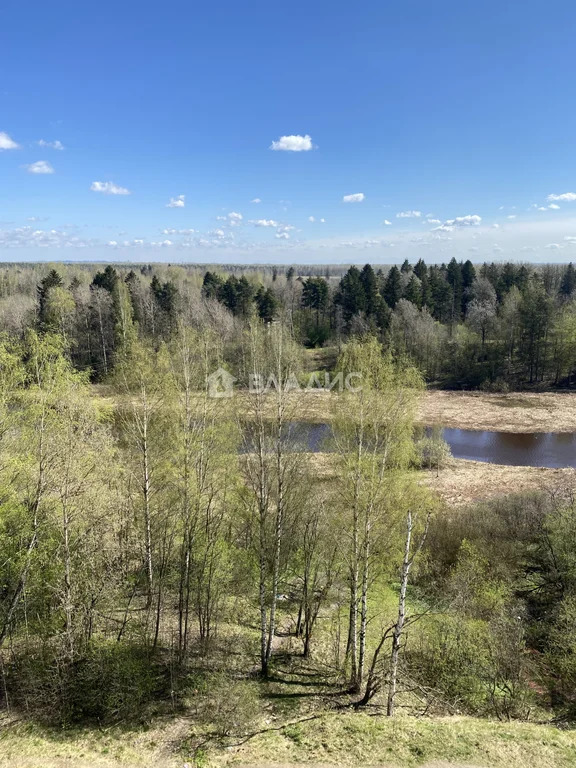 Санкт-Петербург, Пейзажная улица, д.10, 1-комнатная квартира на ... - Фото 25