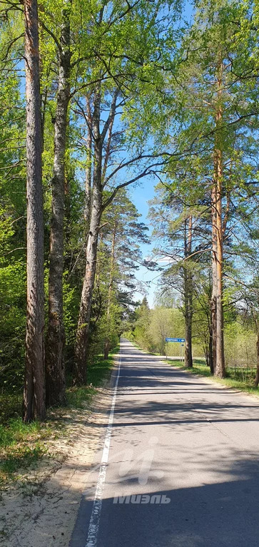 Продажа участка, Наро-Фоминск, Наро-Фоминский район, Годуново д. - Фото 1