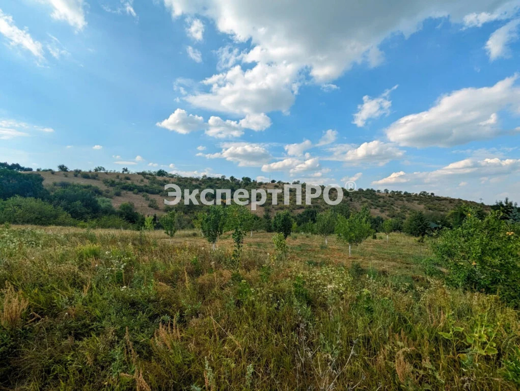 Продажа участка, Клиновка, Симферопольский район, ул. Родниковая - Фото 4