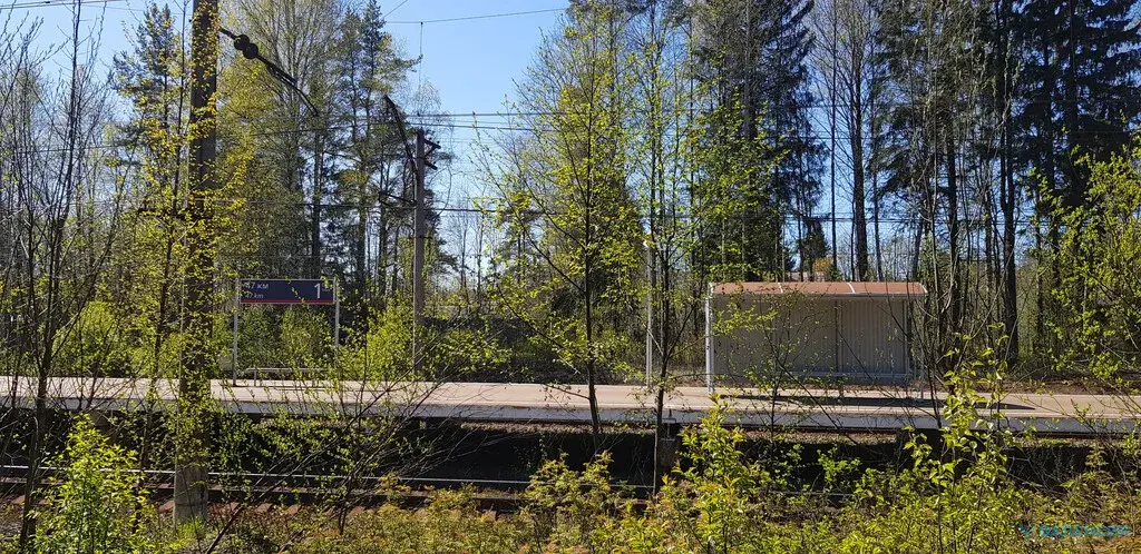 Продажа ЗУ в СНТ Сосновый бор, Куйвозовское СП, ж/д ст. 47 км - Фото 19