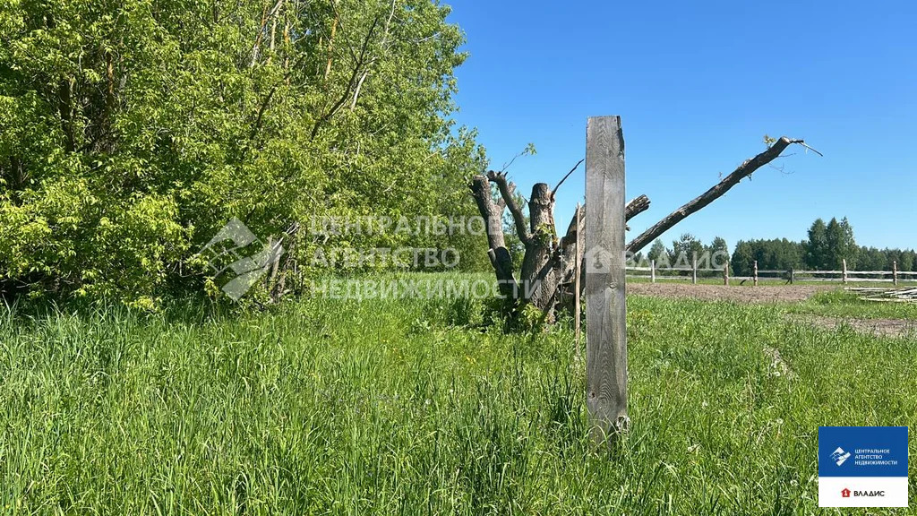 Продажа участка, Выселки, Спасский район - Фото 2