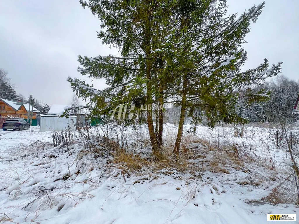 Продажа участка, Некрасовский, Дмитровский район, садовое товарищество ... - Фото 5