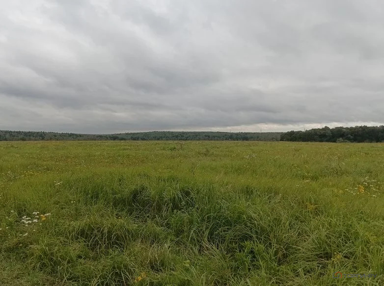 Продажа участка, Семеновское, Серпуховский район - Фото 2