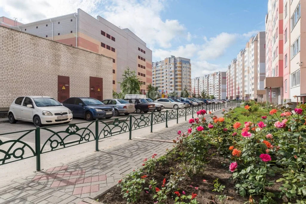 Продажа квартиры, Краснообск, Новосибирский район, 2-й микрорайон - Фото 25