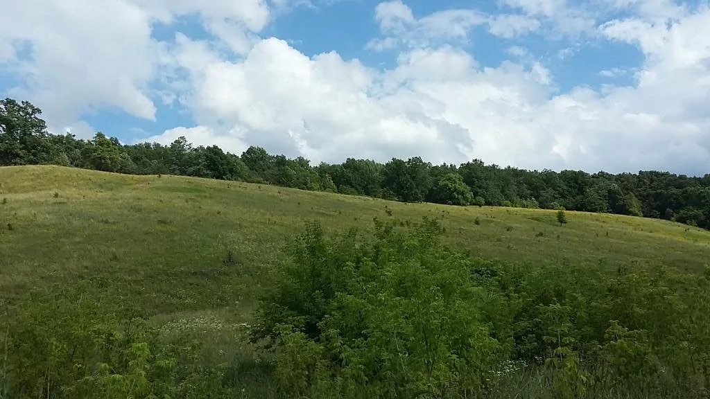 Село архангельское белгородская область карта