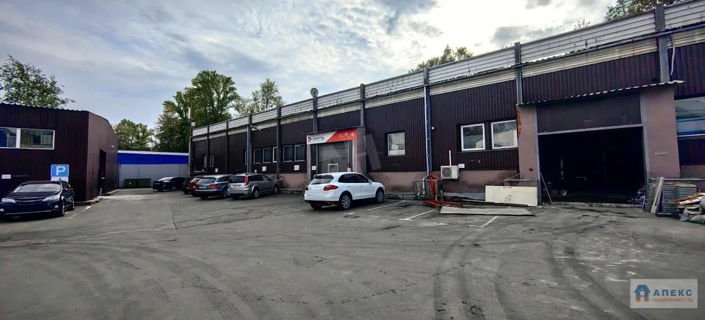Продажа помещения пл. 1251 м2 под производство, автосервис, склад, , ... - Фото 5